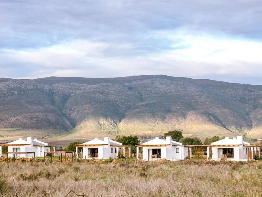 Hotel Duikersdrift Winelands Country Escape Tulbagh Exteriér fotografie